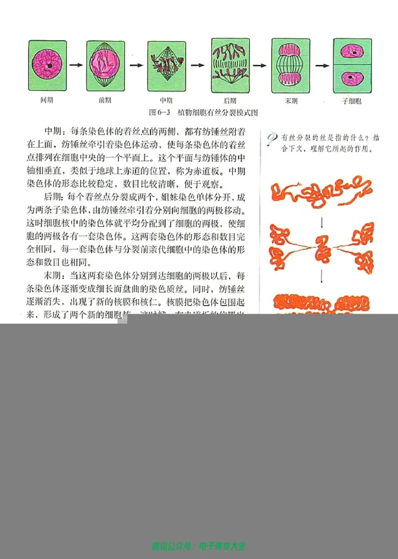 必修1《分子与细胞》_高中三年全科资料_高中_高中电子教材_旧教材_高中生物（人教旧版）_高中生物必修1-3（3本）