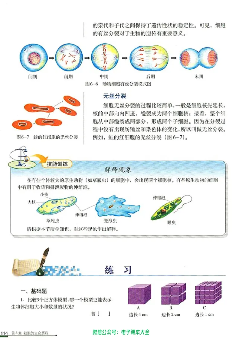 必修1《分子与细胞》_高中三年全科资料_高中_高中电子教材_旧教材_高中生物（人教旧版）_高中生物必修1-3（3本）