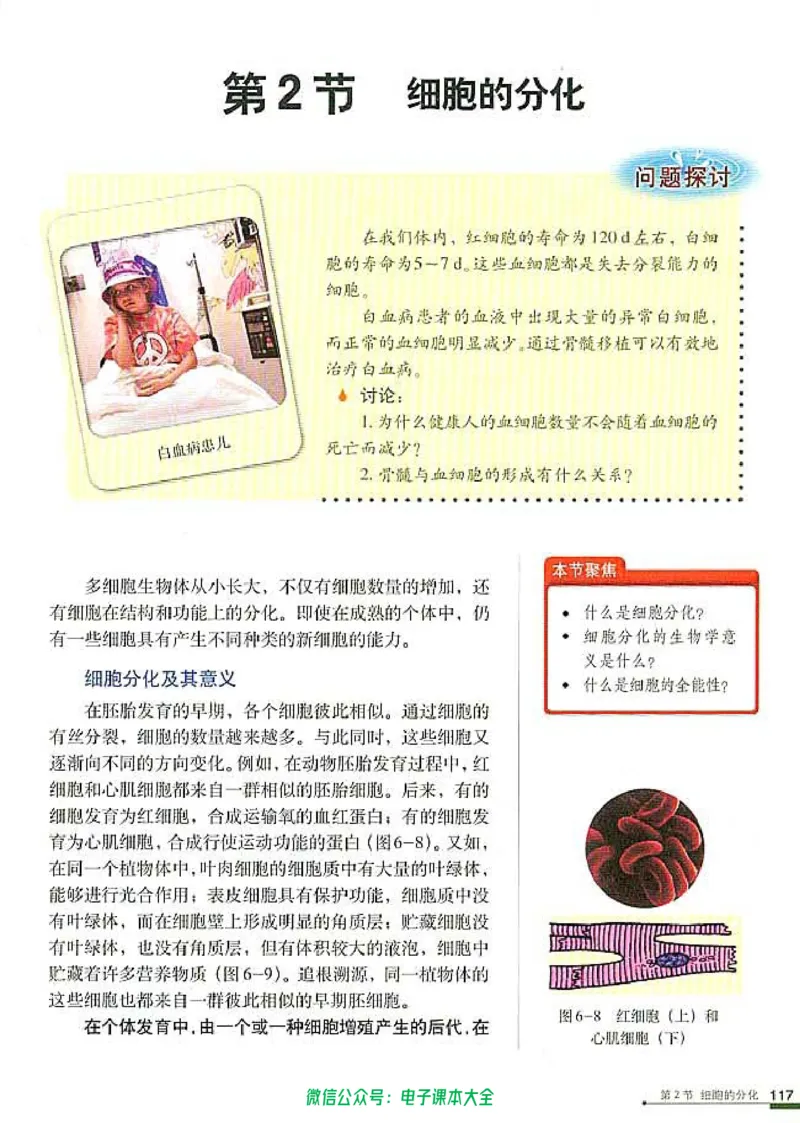 必修1《分子与细胞》_高中三年全科资料_高中_高中电子教材_旧教材_高中生物（人教旧版）_高中生物必修1-3（3本）