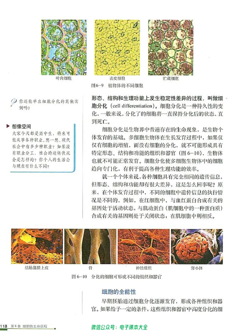 必修1《分子与细胞》_高中三年全科资料_高中_高中电子教材_旧教材_高中生物（人教旧版）_高中生物必修1-3（3本）