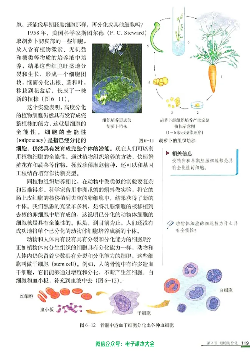 必修1《分子与细胞》_高中三年全科资料_高中_高中电子教材_旧教材_高中生物（人教旧版）_高中生物必修1-3（3本）