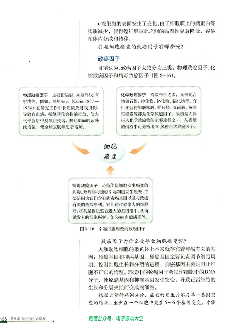 必修1《分子与细胞》_高中三年全科资料_高中_高中电子教材_旧教材_高中生物（人教旧版）_高中生物必修1-3（3本）