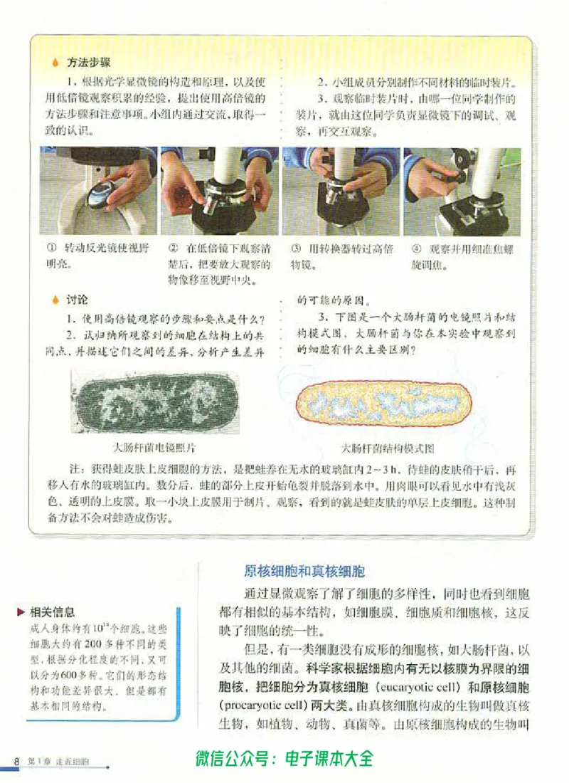 必修1《分子与细胞》_高中三年全科资料_高中_高中电子教材_旧教材_高中生物（人教旧版）_高中生物必修1-3（3本）