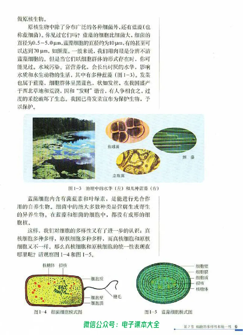 必修1《分子与细胞》_高中三年全科资料_高中_高中电子教材_旧教材_高中生物（人教旧版）_高中生物必修1-3（3本）
