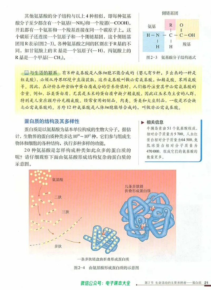 必修1《分子与细胞》_高中三年全科资料_高中_高中电子教材_旧教材_高中生物（人教旧版）_高中生物必修1-3（3本）