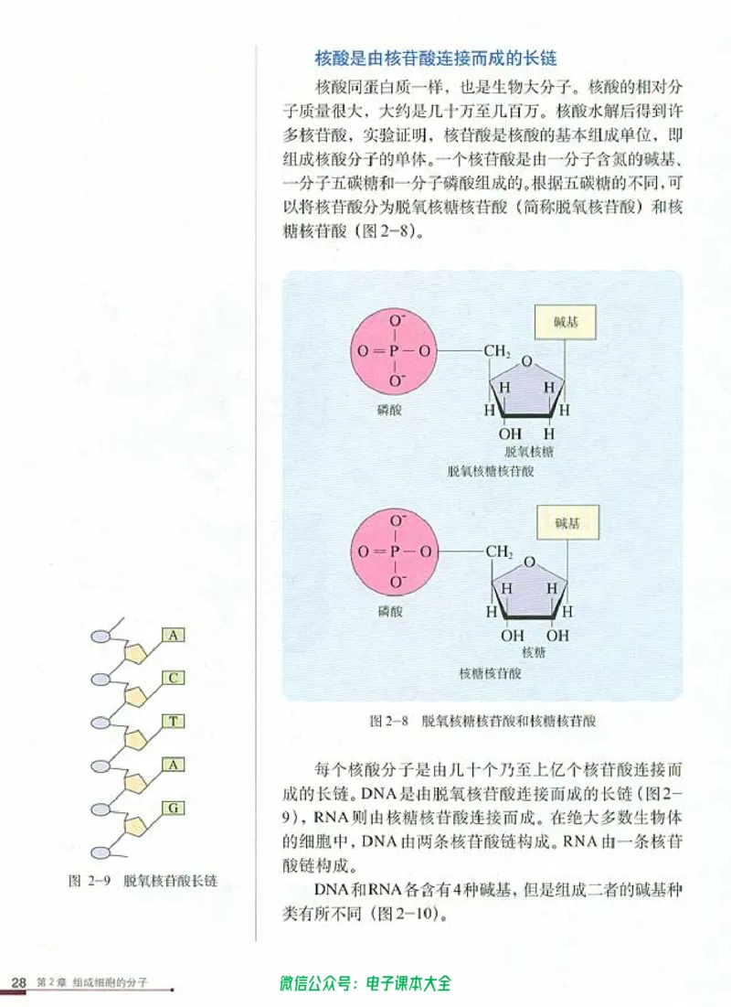 必修1《分子与细胞》_高中三年全科资料_高中_高中电子教材_旧教材_高中生物（人教旧版）_高中生物必修1-3（3本）