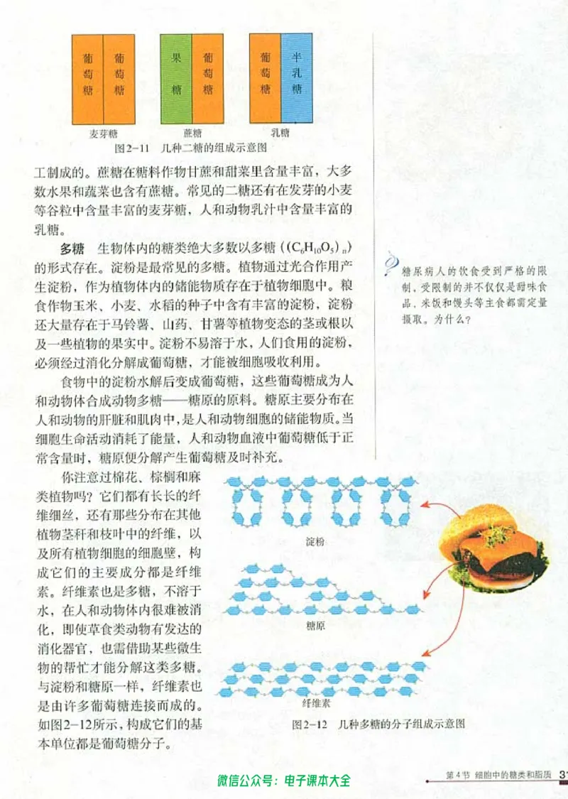 必修1《分子与细胞》_高中三年全科资料_高中_高中电子教材_旧教材_高中生物（人教旧版）_高中生物必修1-3（3本）