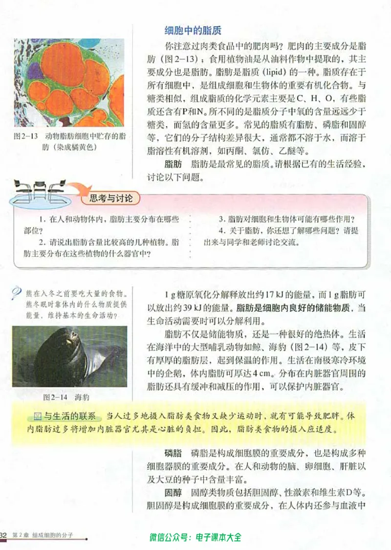 必修1《分子与细胞》_高中三年全科资料_高中_高中电子教材_旧教材_高中生物（人教旧版）_高中生物必修1-3（3本）