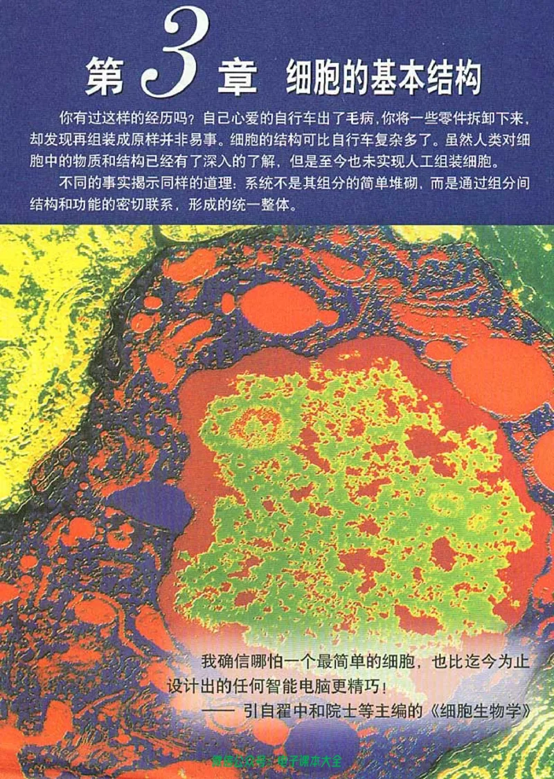 必修1《分子与细胞》_高中三年全科资料_高中_高中电子教材_旧教材_高中生物（人教旧版）_高中生物必修1-3（3本）