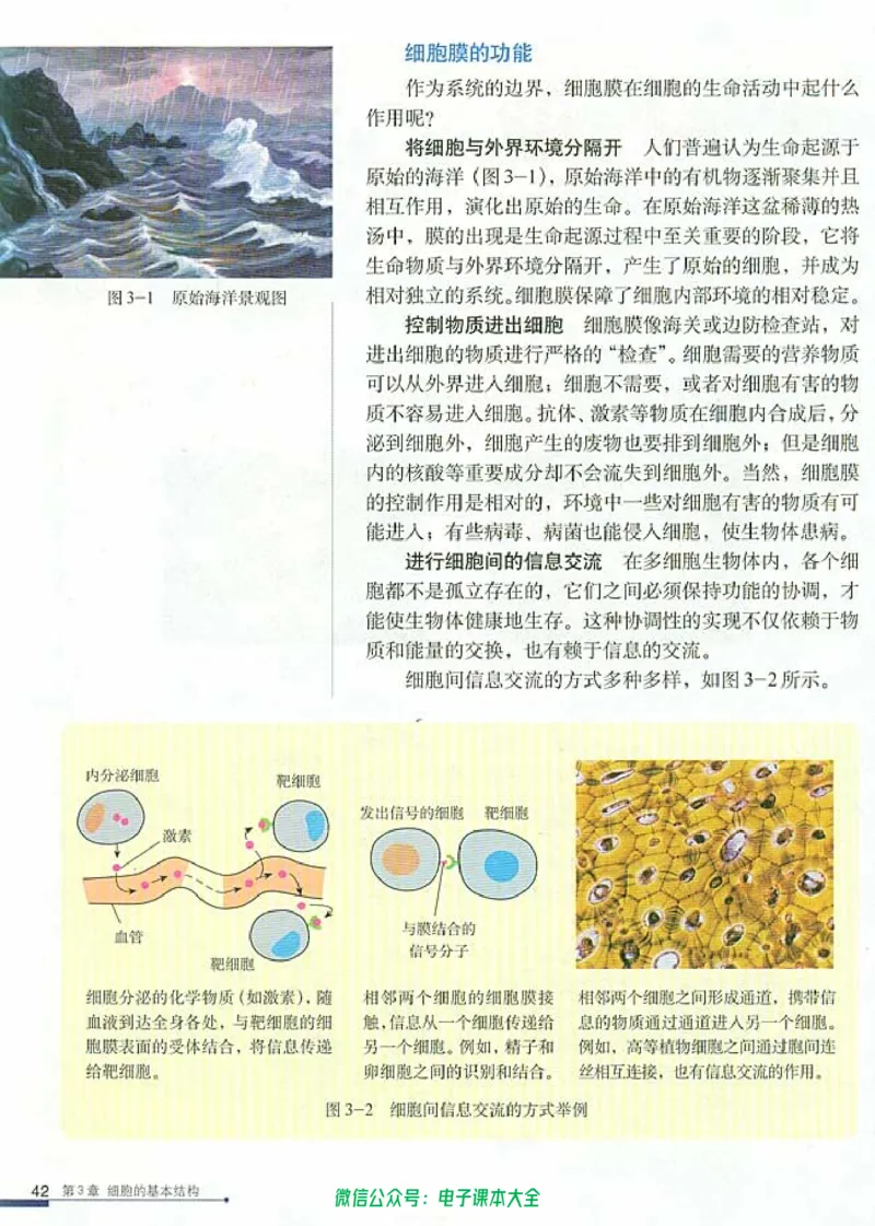 必修1《分子与细胞》_高中三年全科资料_高中_高中电子教材_旧教材_高中生物（人教旧版）_高中生物必修1-3（3本）