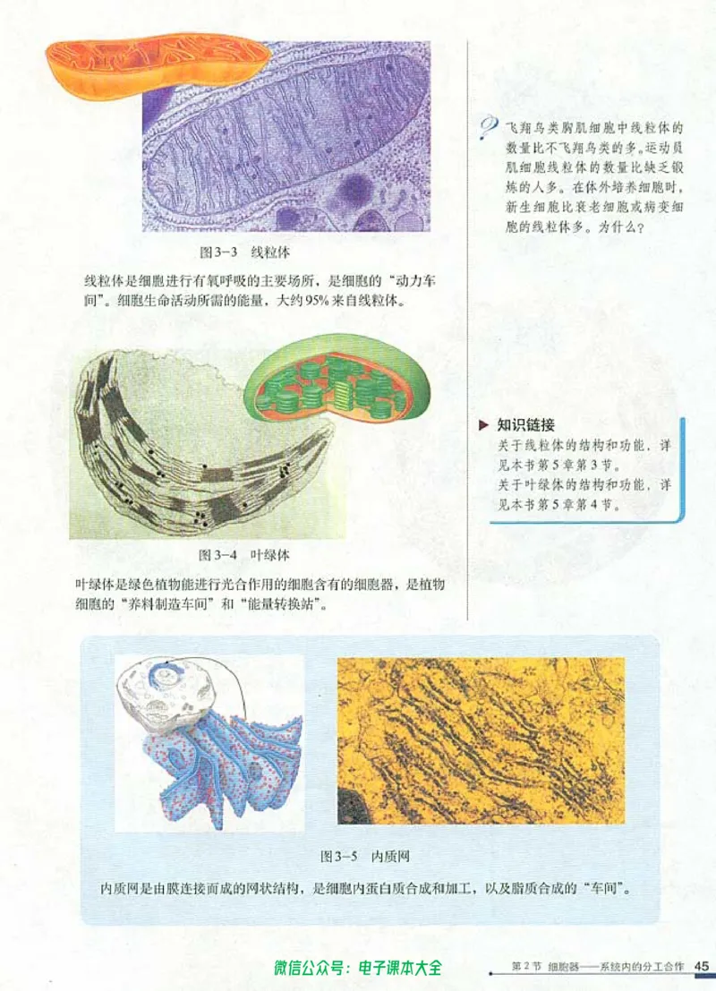 必修1《分子与细胞》_高中三年全科资料_高中_高中电子教材_旧教材_高中生物（人教旧版）_高中生物必修1-3（3本）