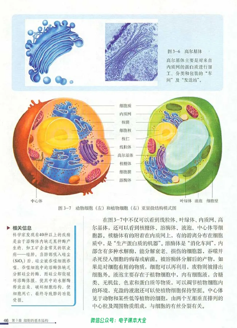 必修1《分子与细胞》_高中三年全科资料_高中_高中电子教材_旧教材_高中生物（人教旧版）_高中生物必修1-3（3本）