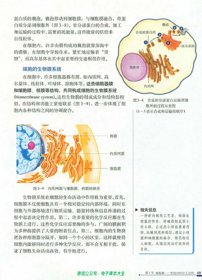 必修1《分子与细胞》_高中三年全科资料_高中_高中电子教材_旧教材_高中生物（人教旧版）_高中生物必修1-3（3本）