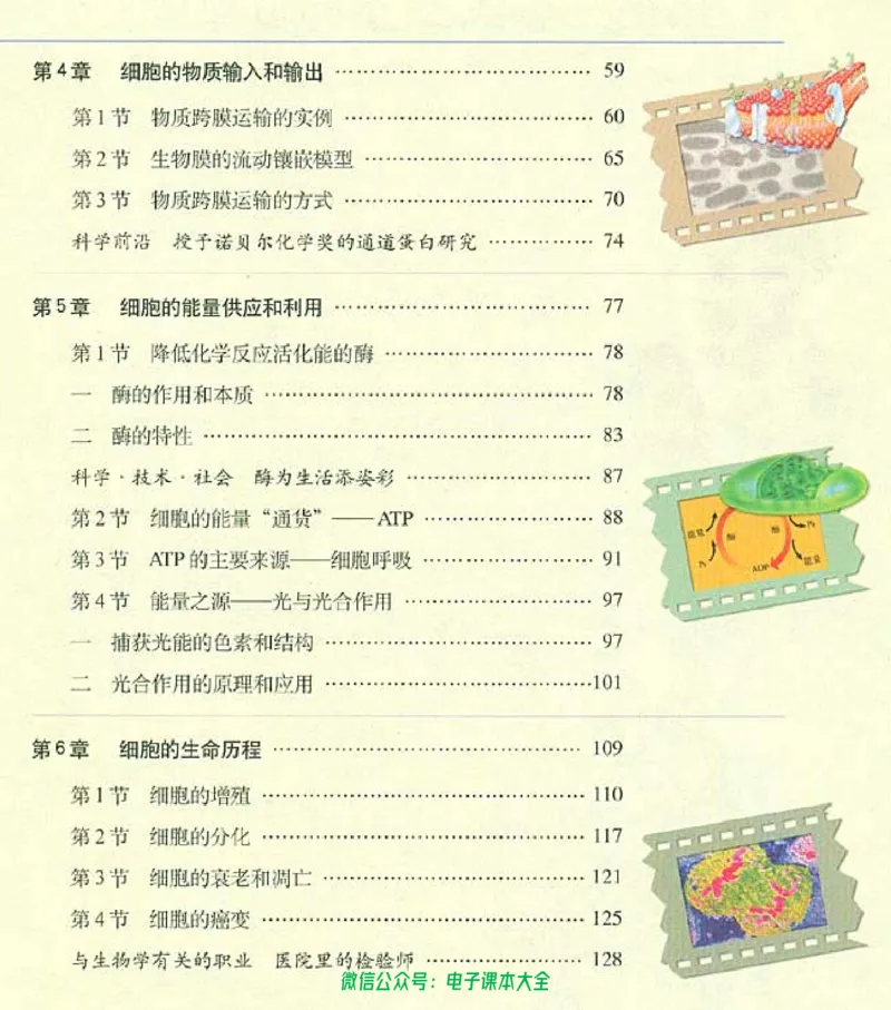 必修1《分子与细胞》_高中三年全科资料_高中_高中电子教材_旧教材_高中生物（人教旧版）_高中生物必修1-3（3本）