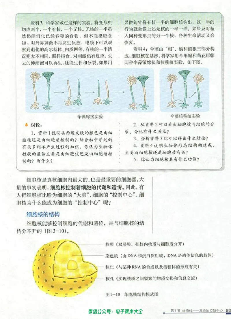必修1《分子与细胞》_高中三年全科资料_高中_高中电子教材_旧教材_高中生物（人教旧版）_高中生物必修1-3（3本）