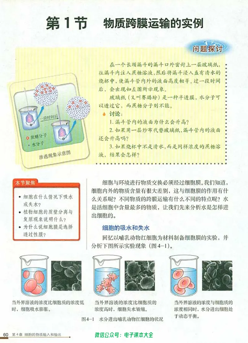 必修1《分子与细胞》_高中三年全科资料_高中_高中电子教材_旧教材_高中生物（人教旧版）_高中生物必修1-3（3本）