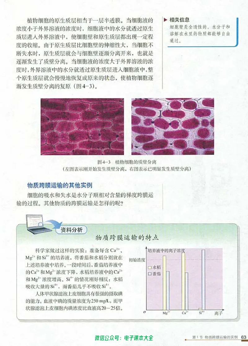 必修1《分子与细胞》_高中三年全科资料_高中_高中电子教材_旧教材_高中生物（人教旧版）_高中生物必修1-3（3本）