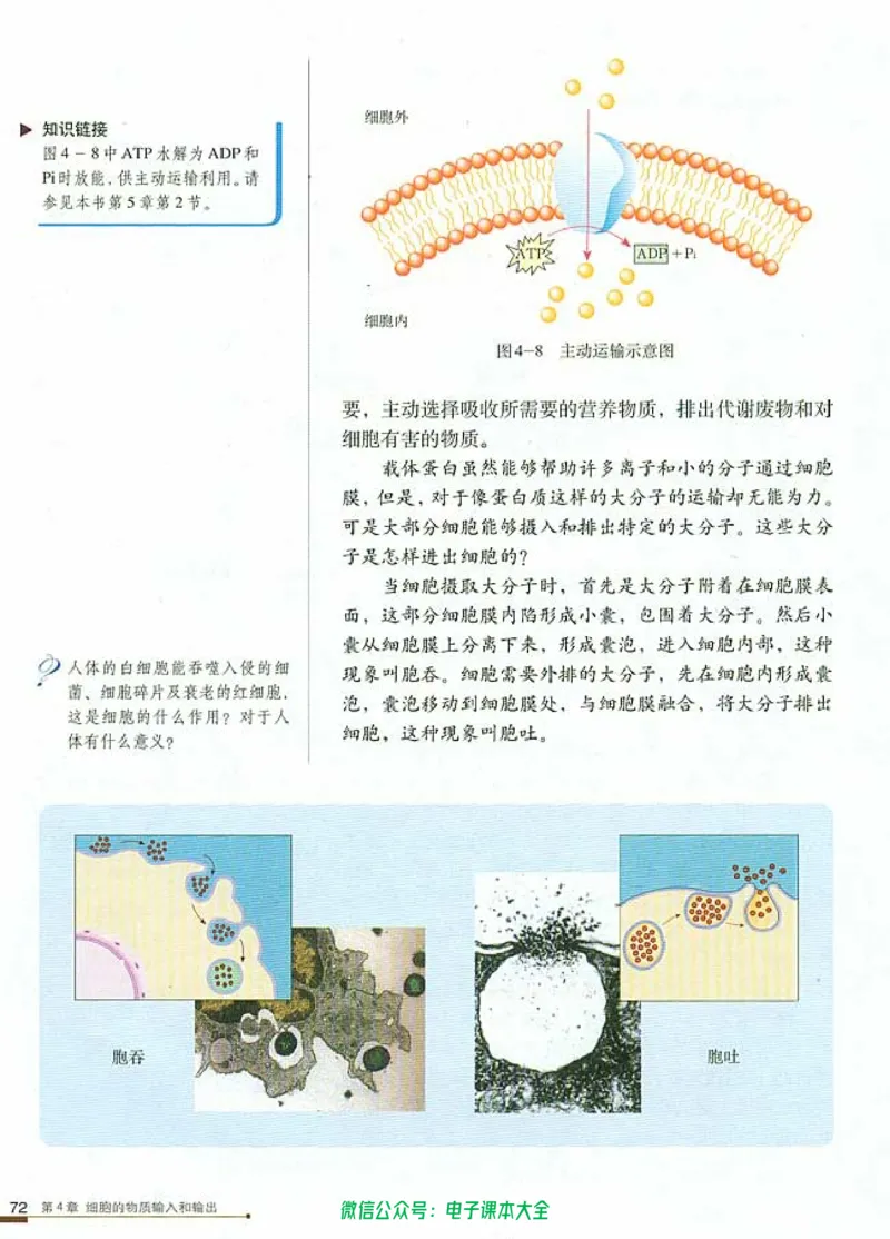 必修1《分子与细胞》_高中三年全科资料_高中_高中电子教材_旧教材_高中生物（人教旧版）_高中生物必修1-3（3本）