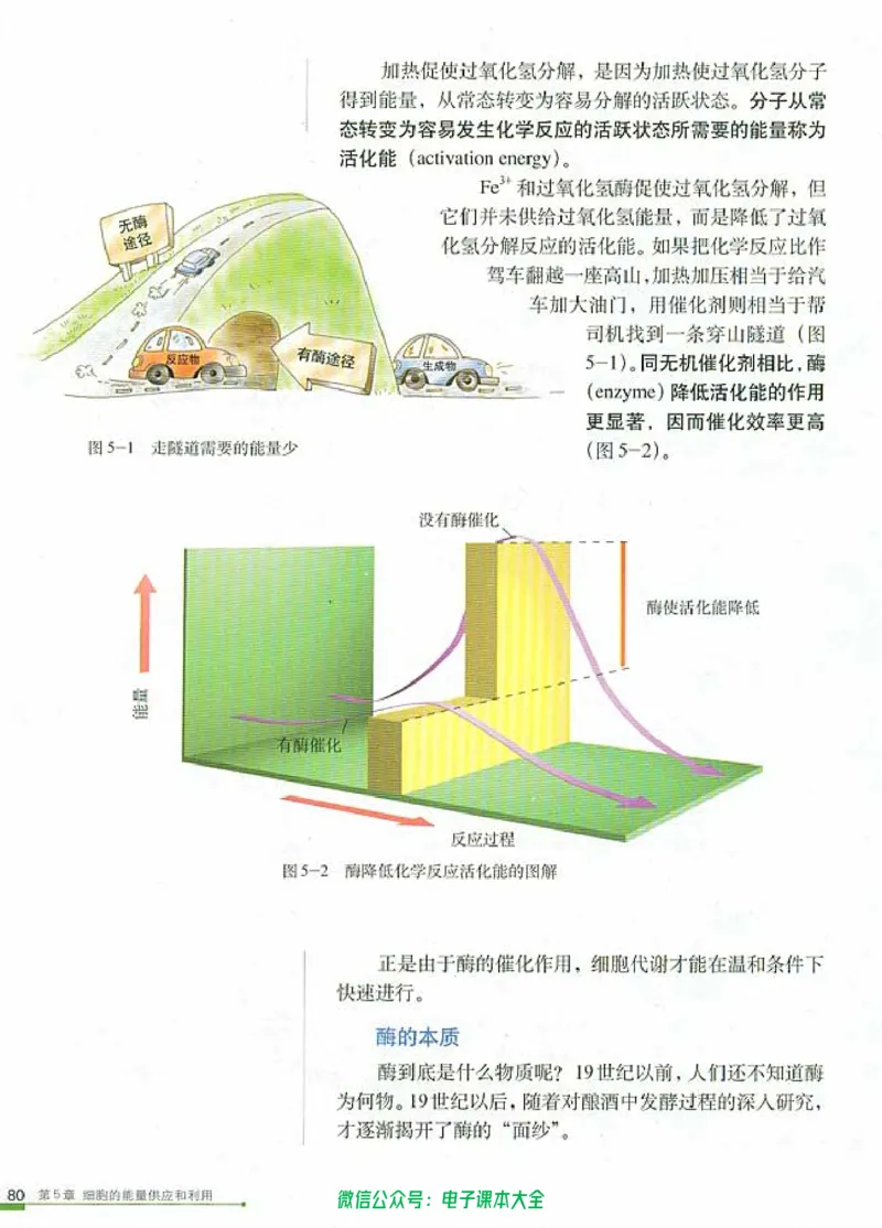 必修1《分子与细胞》_高中三年全科资料_高中_高中电子教材_旧教材_高中生物（人教旧版）_高中生物必修1-3（3本）