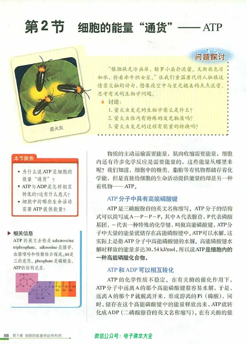 必修1《分子与细胞》_高中三年全科资料_高中_高中电子教材_旧教材_高中生物（人教旧版）_高中生物必修1-3（3本）