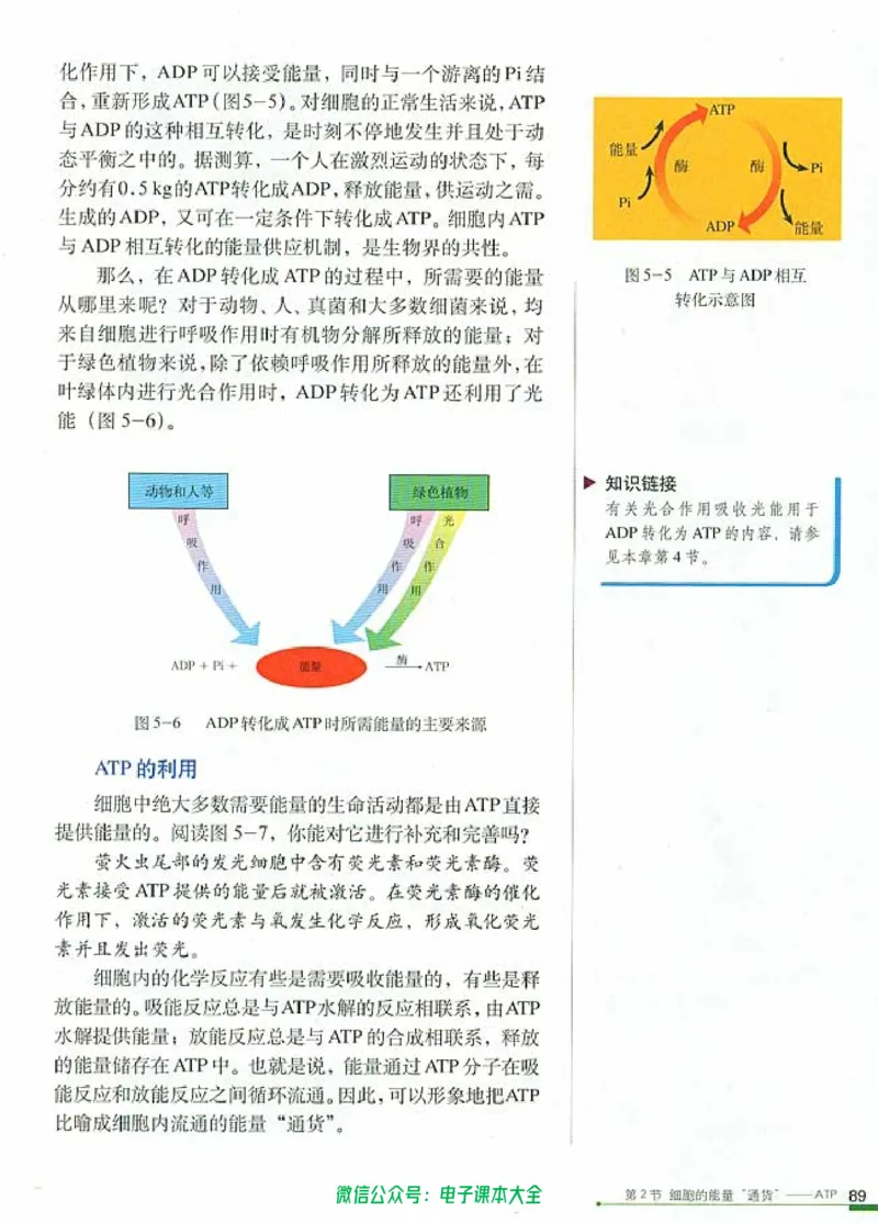 必修1《分子与细胞》_高中三年全科资料_高中_高中电子教材_旧教材_高中生物（人教旧版）_高中生物必修1-3（3本）