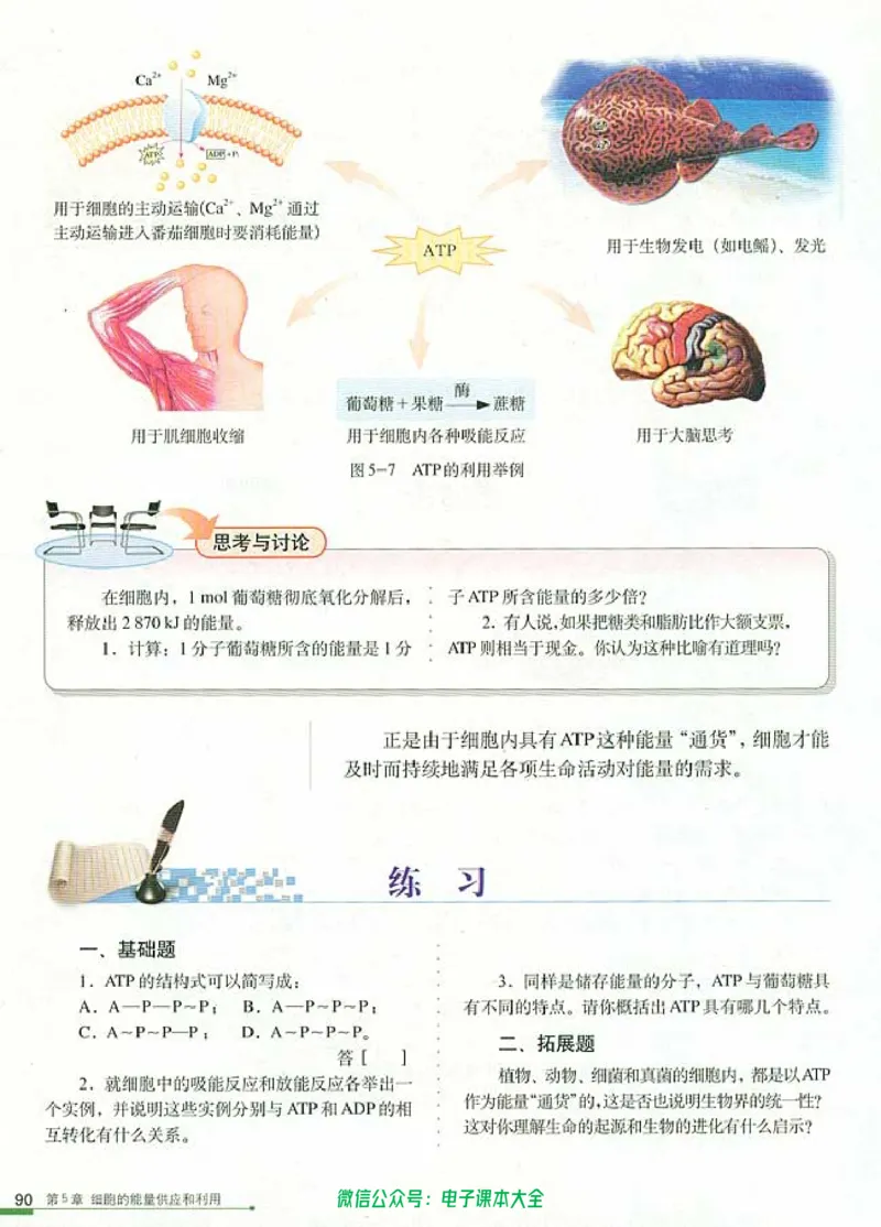 必修1《分子与细胞》_高中三年全科资料_高中_高中电子教材_旧教材_高中生物（人教旧版）_高中生物必修1-3（3本）