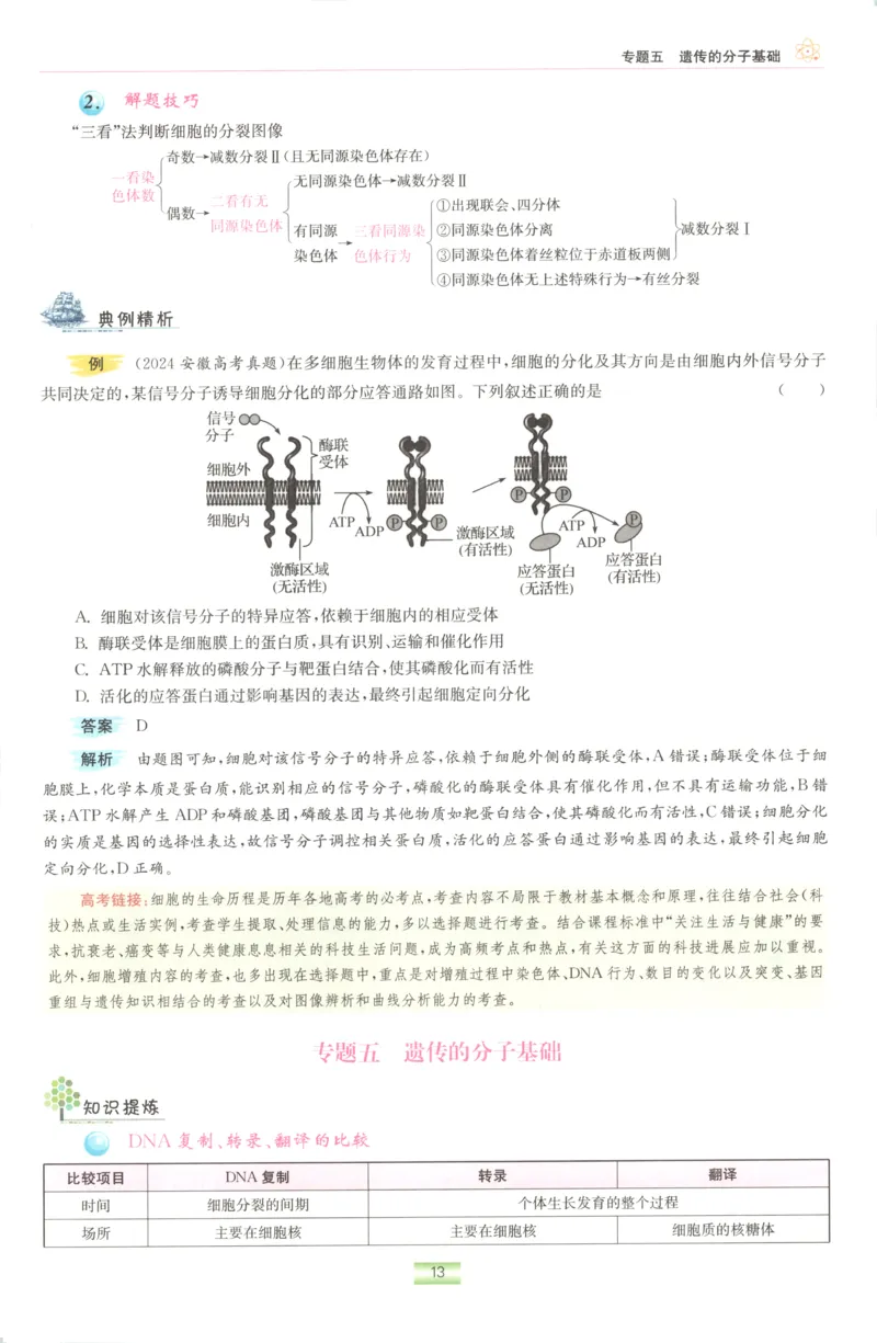 小帮手_高中三年全科资料_高中_高中1_2026版高考《小题狂做》基础篇+教材篇(持续更新中）_2026小题狂做基础篇生物