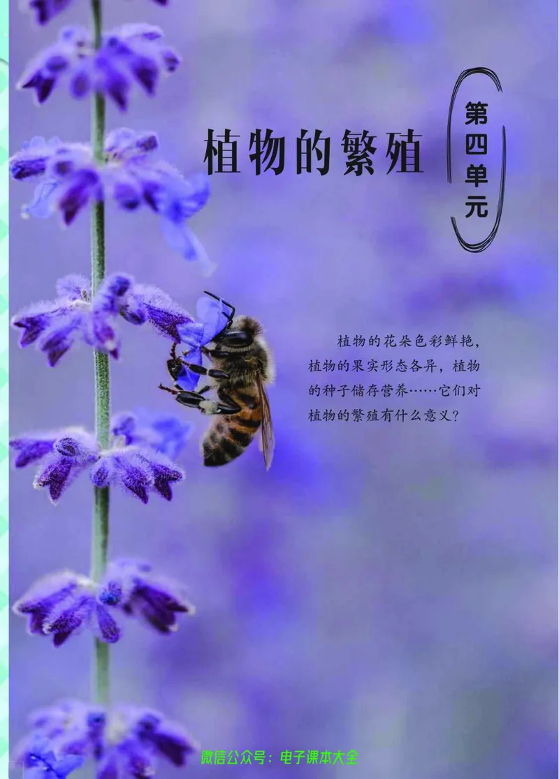 03六制三下科学_电子课本_小学电子课本_05科学_青岛版（63、54版）_小学科学青岛六三制1-6下册