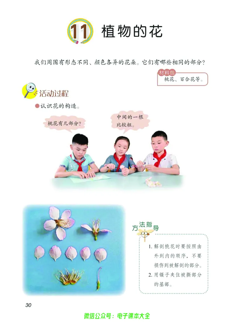 03六制三下科学_电子课本_小学电子课本_05科学_青岛版（63、54版）_小学科学青岛六三制1-6下册