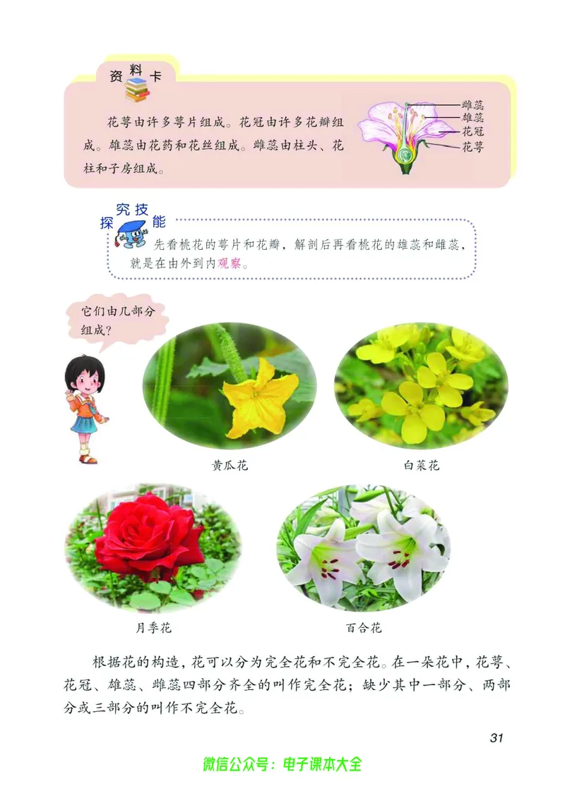 03六制三下科学_电子课本_小学电子课本_05科学_青岛版（63、54版）_小学科学青岛六三制1-6下册