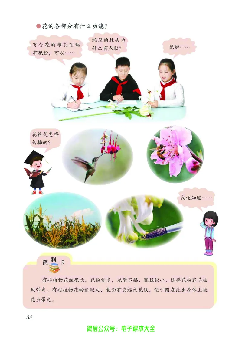 03六制三下科学_电子课本_小学电子课本_05科学_青岛版（63、54版）_小学科学青岛六三制1-6下册