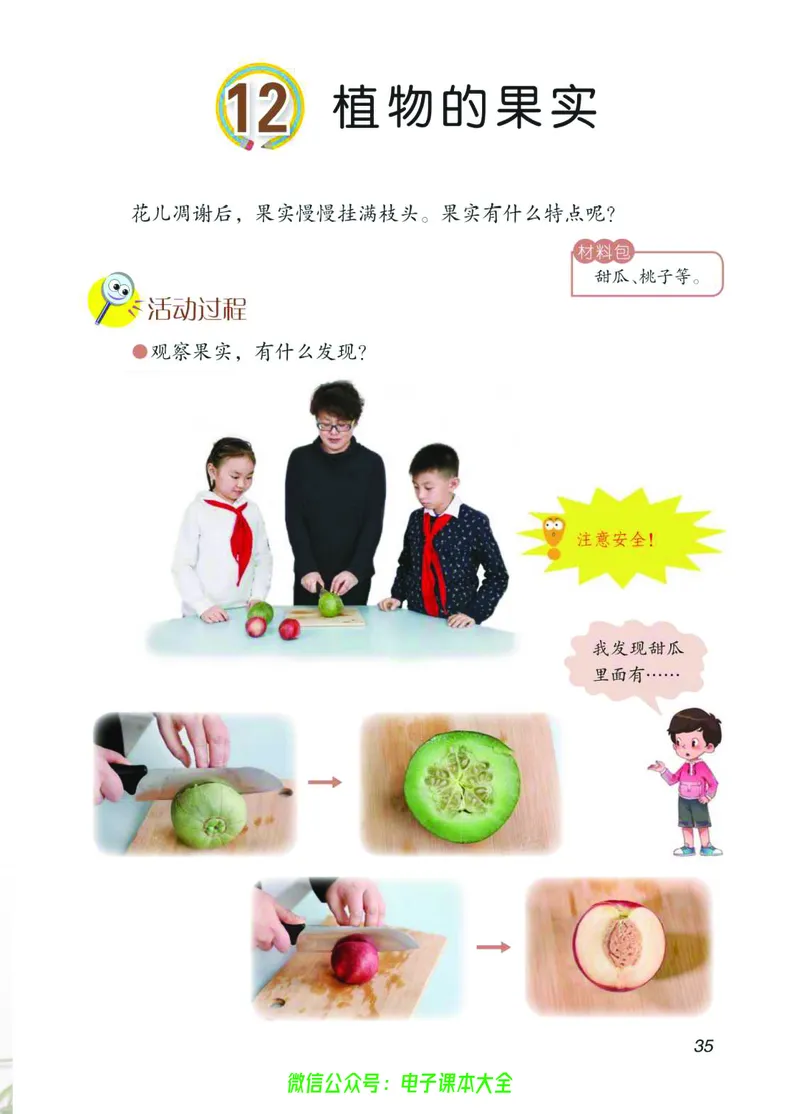 03六制三下科学_电子课本_小学电子课本_05科学_青岛版（63、54版）_小学科学青岛六三制1-6下册