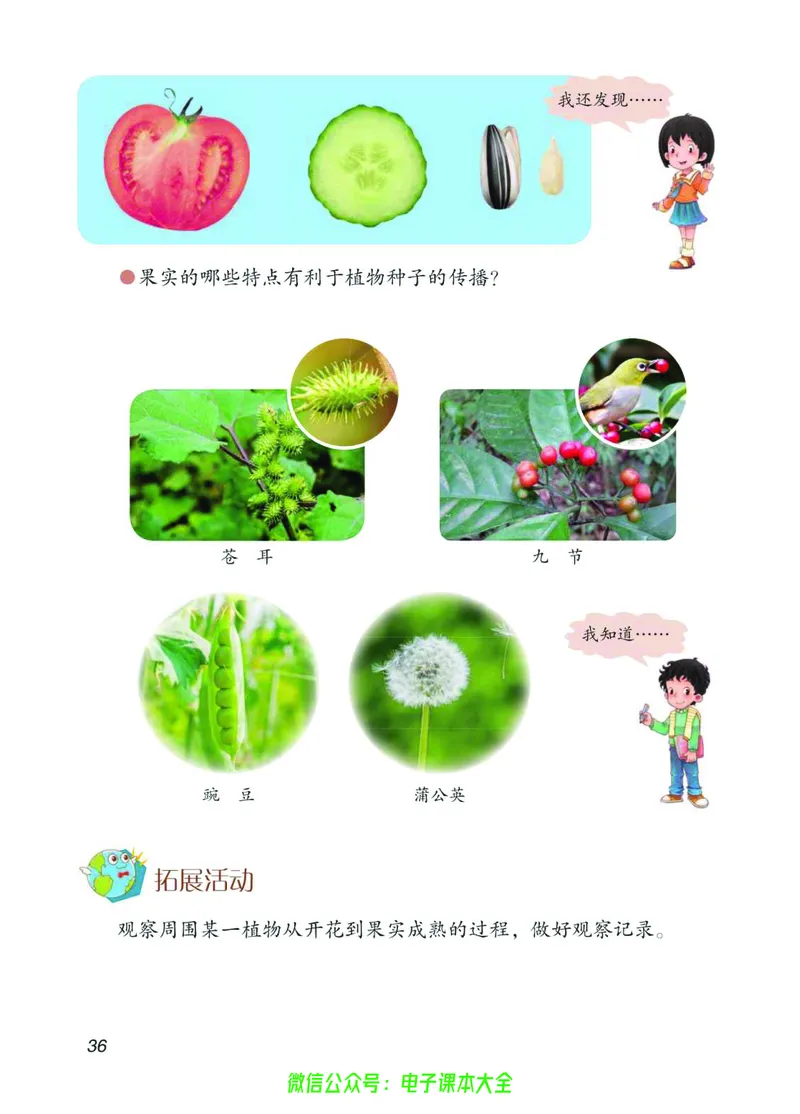 03六制三下科学_电子课本_小学电子课本_05科学_青岛版（63、54版）_小学科学青岛六三制1-6下册