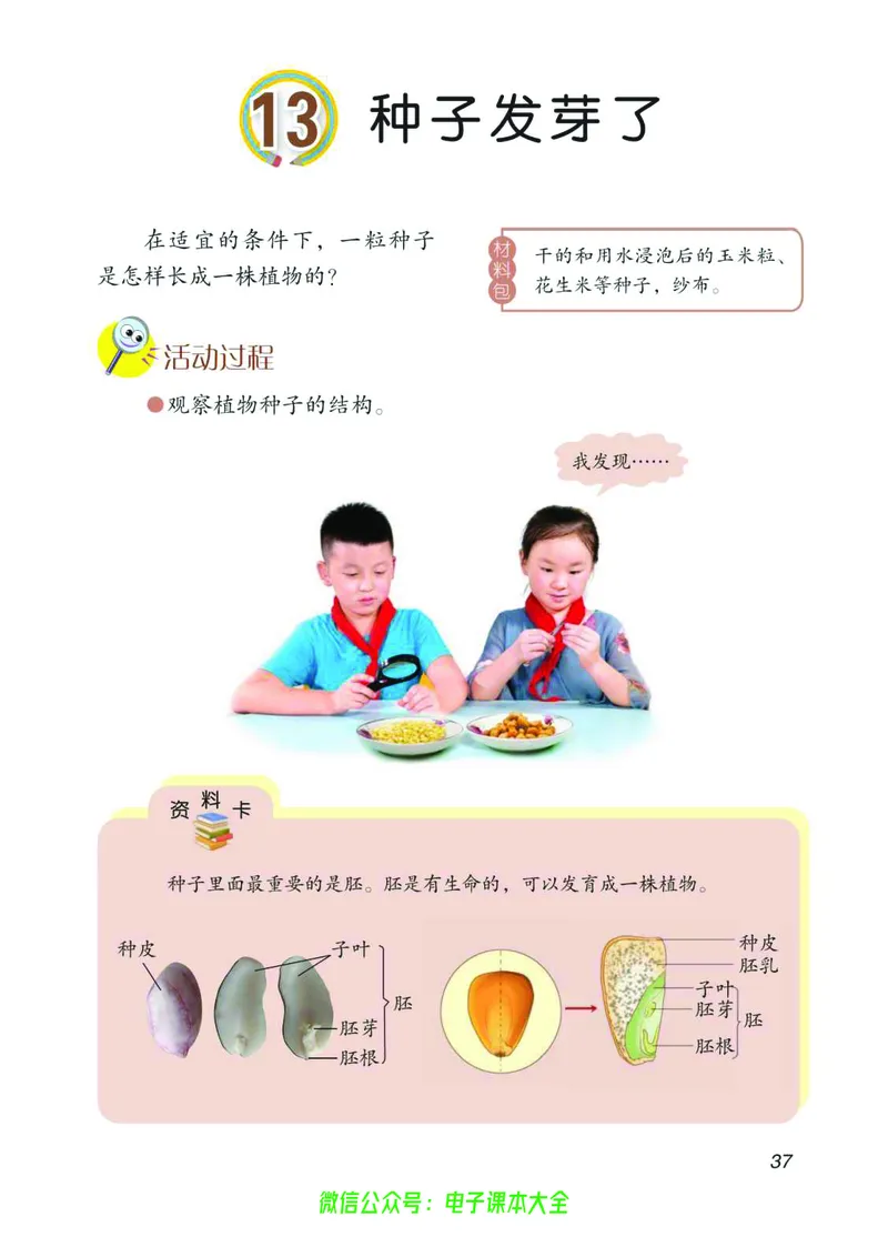 03六制三下科学_电子课本_小学电子课本_05科学_青岛版（63、54版）_小学科学青岛六三制1-6下册