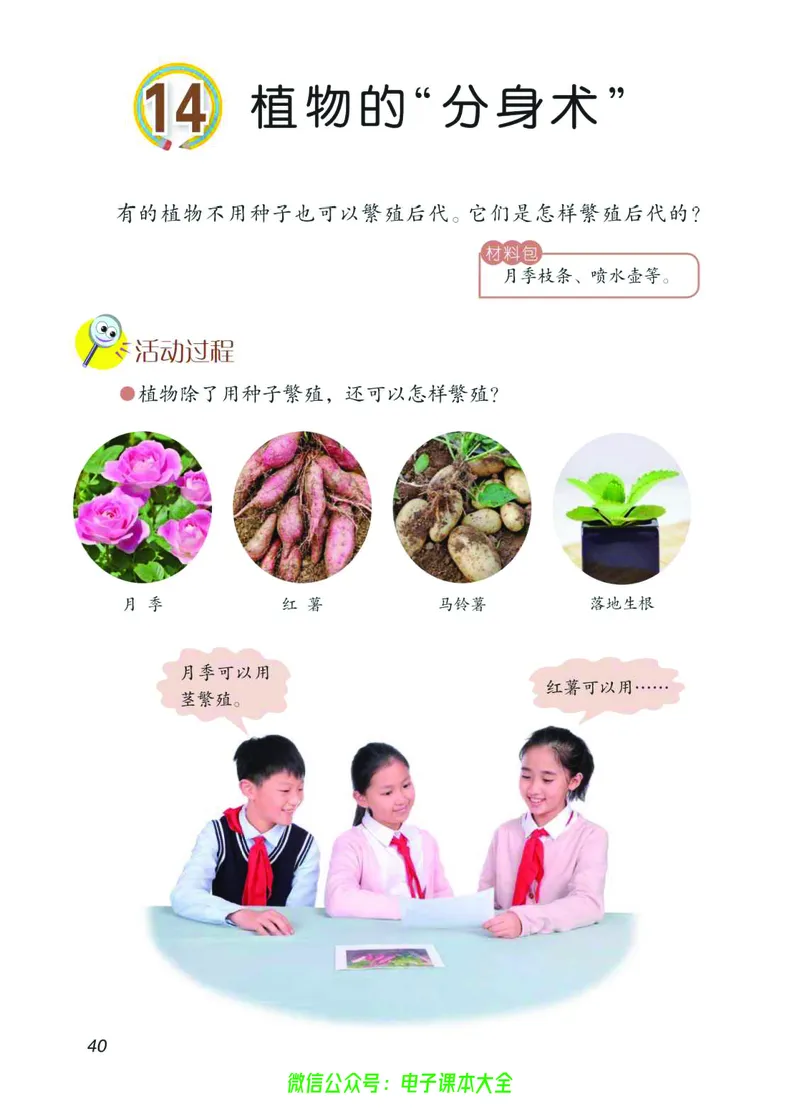 03六制三下科学_电子课本_小学电子课本_05科学_青岛版（63、54版）_小学科学青岛六三制1-6下册