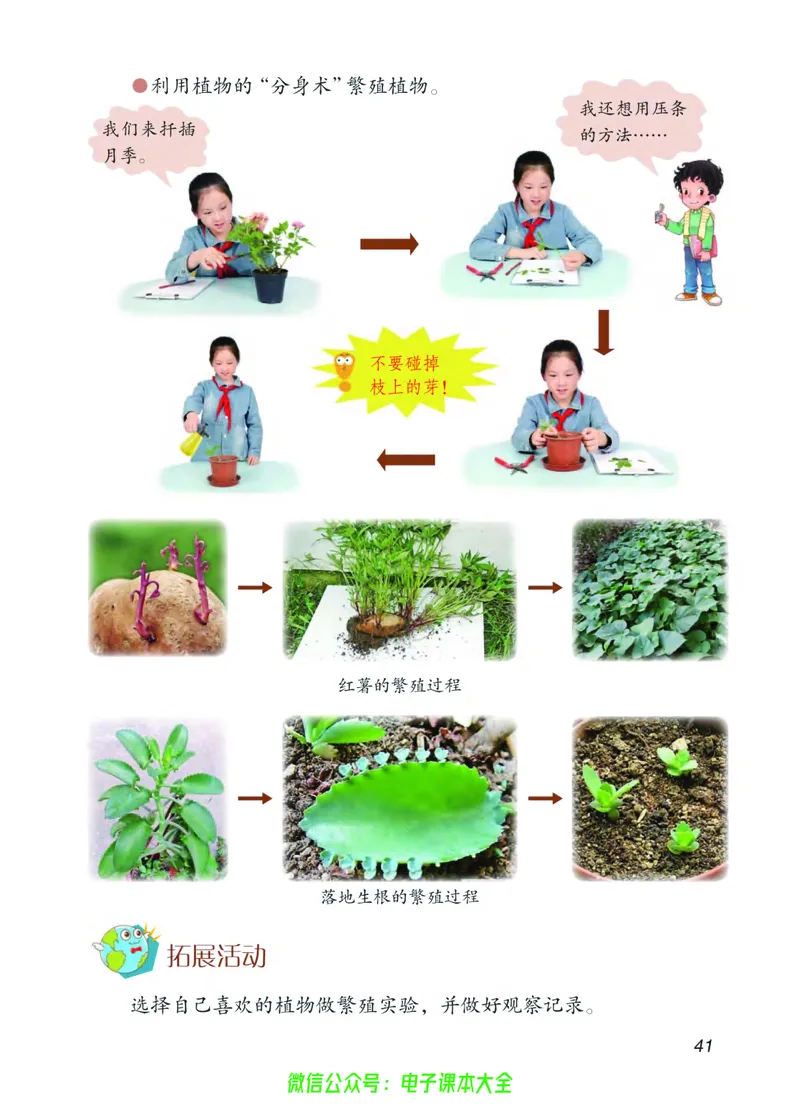 03六制三下科学_电子课本_小学电子课本_05科学_青岛版（63、54版）_小学科学青岛六三制1-6下册