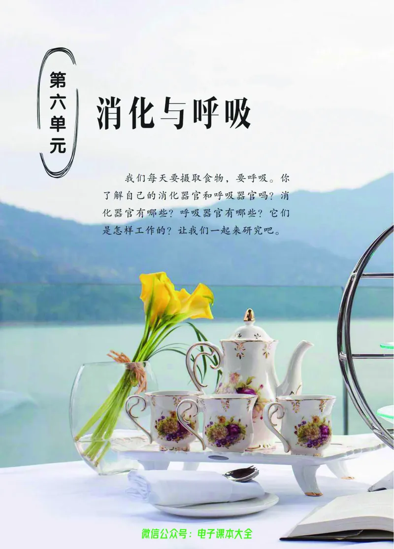 03六制三下科学_电子课本_小学电子课本_05科学_青岛版（63、54版）_小学科学青岛六三制1-6下册