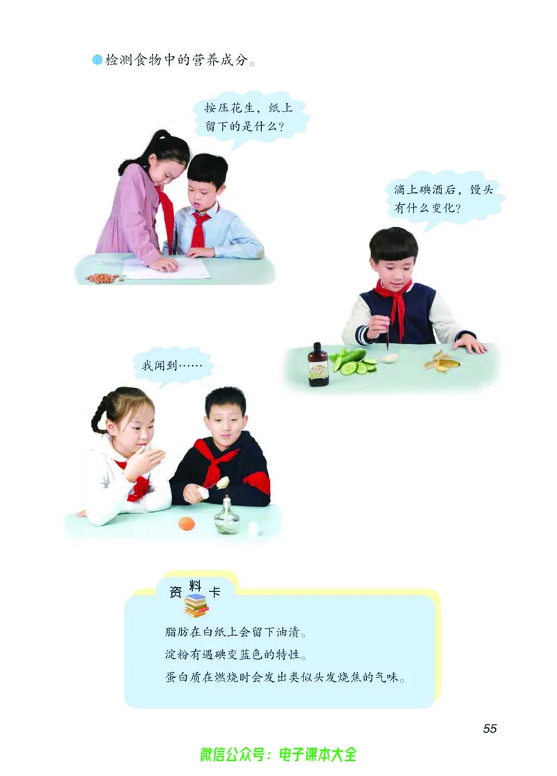 03六制三下科学_电子课本_小学电子课本_05科学_青岛版（63、54版）_小学科学青岛六三制1-6下册