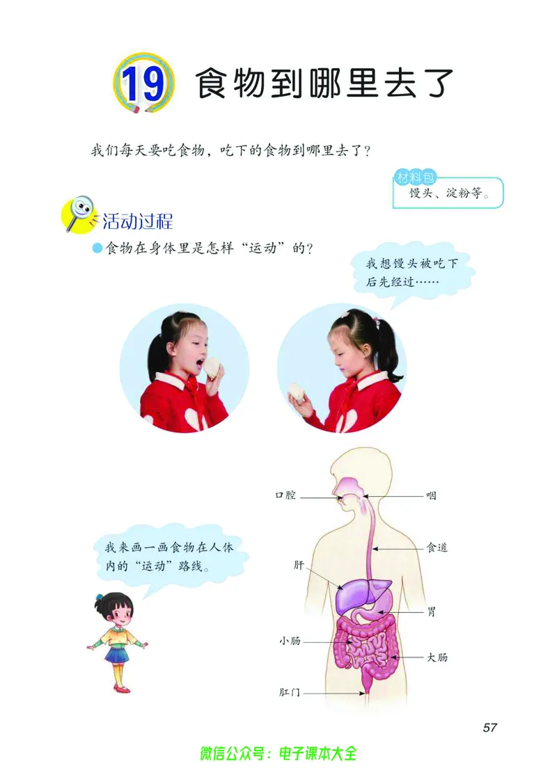 03六制三下科学_电子课本_小学电子课本_05科学_青岛版（63、54版）_小学科学青岛六三制1-6下册