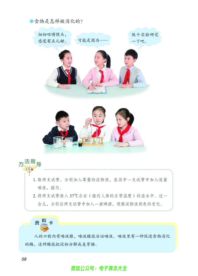 03六制三下科学_电子课本_小学电子课本_05科学_青岛版（63、54版）_小学科学青岛六三制1-6下册