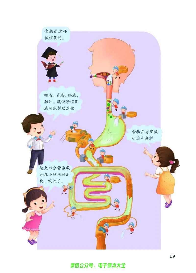 03六制三下科学_电子课本_小学电子课本_05科学_青岛版（63、54版）_小学科学青岛六三制1-6下册