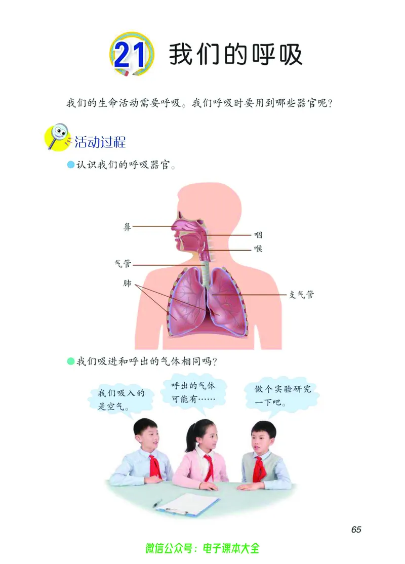 03六制三下科学_电子课本_小学电子课本_05科学_青岛版（63、54版）_小学科学青岛六三制1-6下册