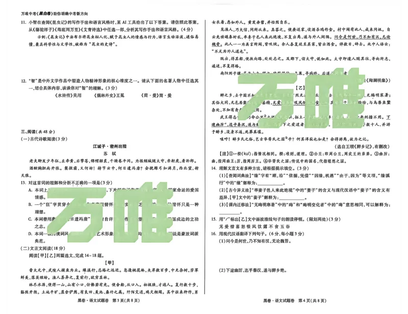 2026《万唯中考&bull;新疆黑白卷》语文A3_中考押题2026《中考押题》系列（9科全套实时更新中）_万唯2026版初中《万唯黑白卷》7科全套（新疆）_2026《万唯中考&bull;新疆黑白卷》语文