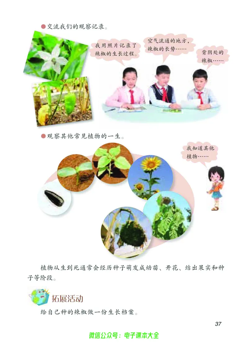 04六制四下科学_电子课本_小学电子课本_05科学_青岛版（63、54版）_小学科学青岛六三制1-6下册