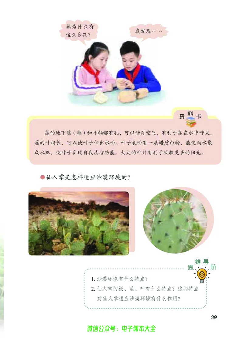 04六制四下科学_电子课本_小学电子课本_05科学_青岛版（63、54版）_小学科学青岛六三制1-6下册