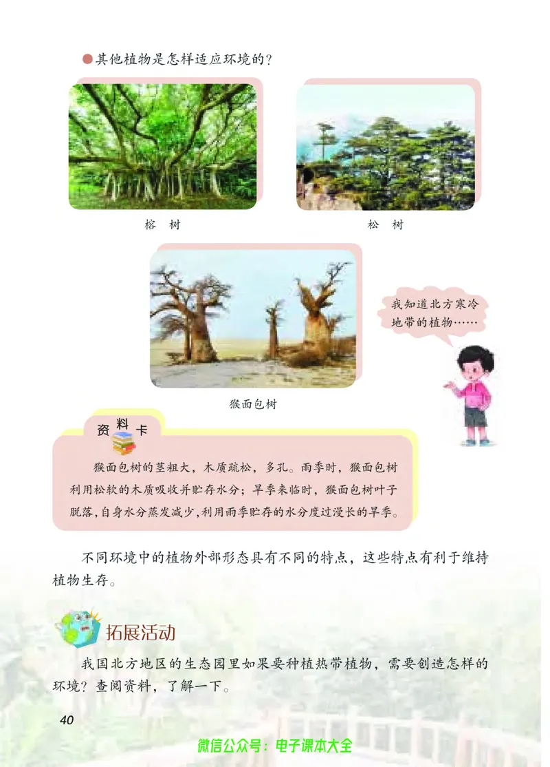04六制四下科学_电子课本_小学电子课本_05科学_青岛版（63、54版）_小学科学青岛六三制1-6下册