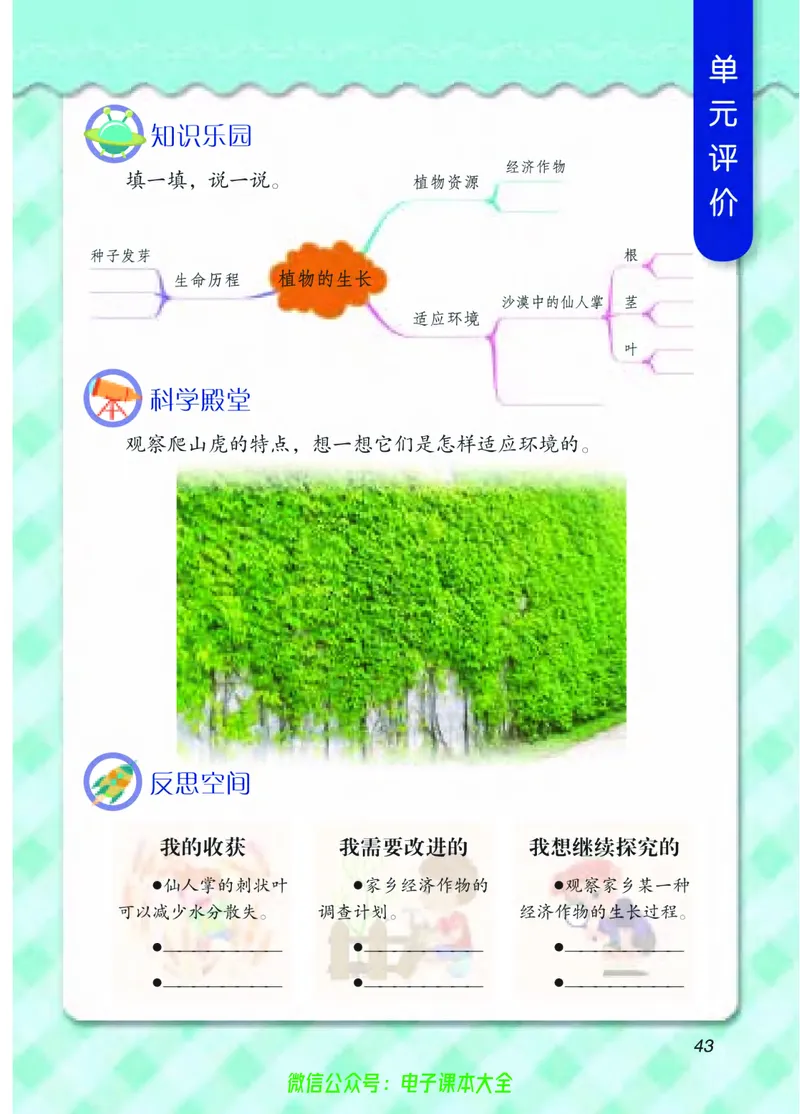 04六制四下科学_电子课本_小学电子课本_05科学_青岛版（63、54版）_小学科学青岛六三制1-6下册