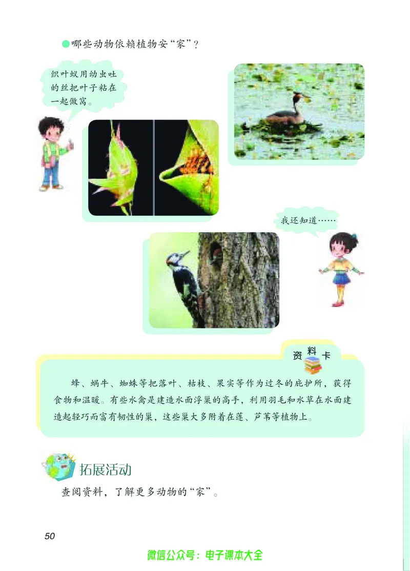 04六制四下科学_电子课本_小学电子课本_05科学_青岛版（63、54版）_小学科学青岛六三制1-6下册
