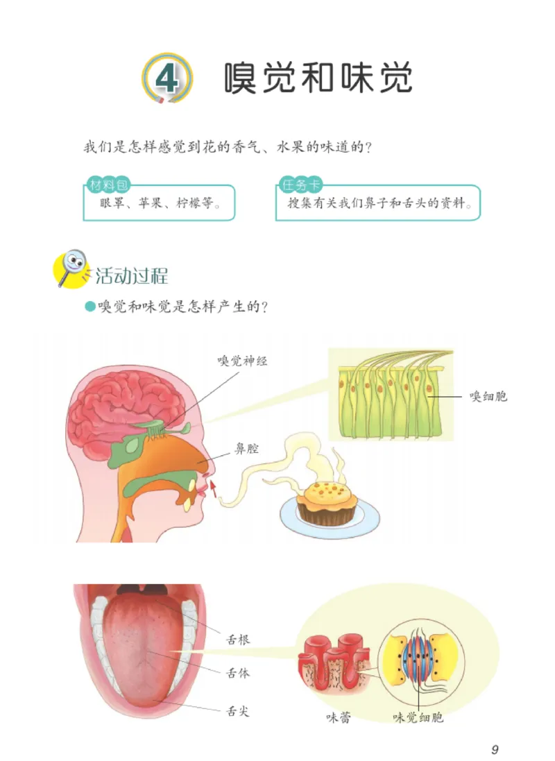 06六制六下科学（新教材）_电子课本_小学电子课本_05科学_青岛版（63、54版）_小学科学青岛六三制1-6下册