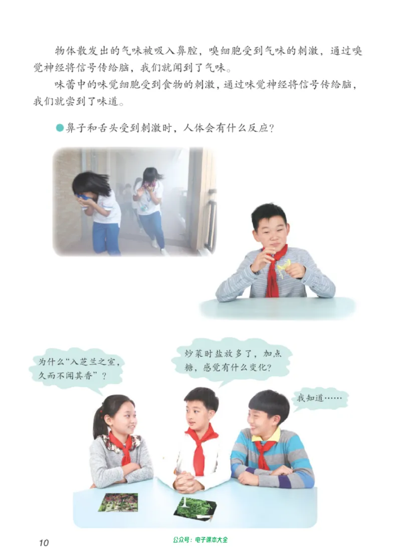 06六制六下科学（新教材）_电子课本_小学电子课本_05科学_青岛版（63、54版）_小学科学青岛六三制1-6下册